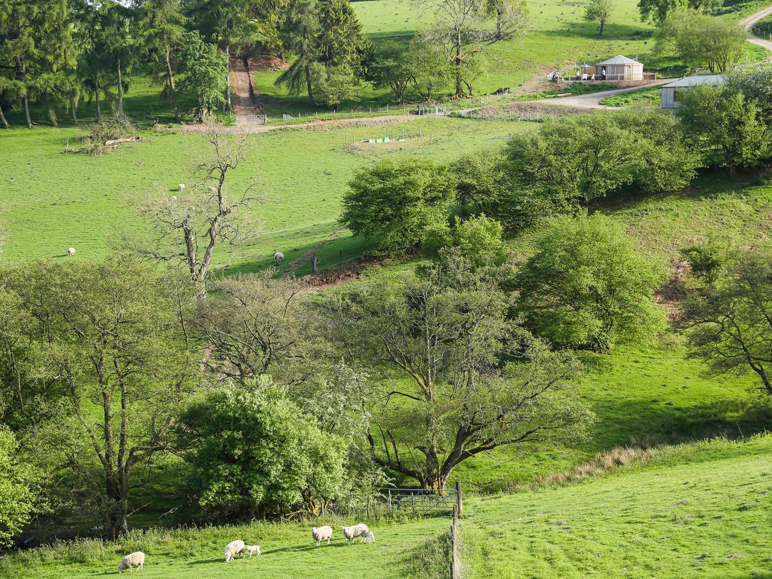 Villa Rolling Hills Newcastle  Esterno foto